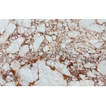 Đá Marble Calacatta Red